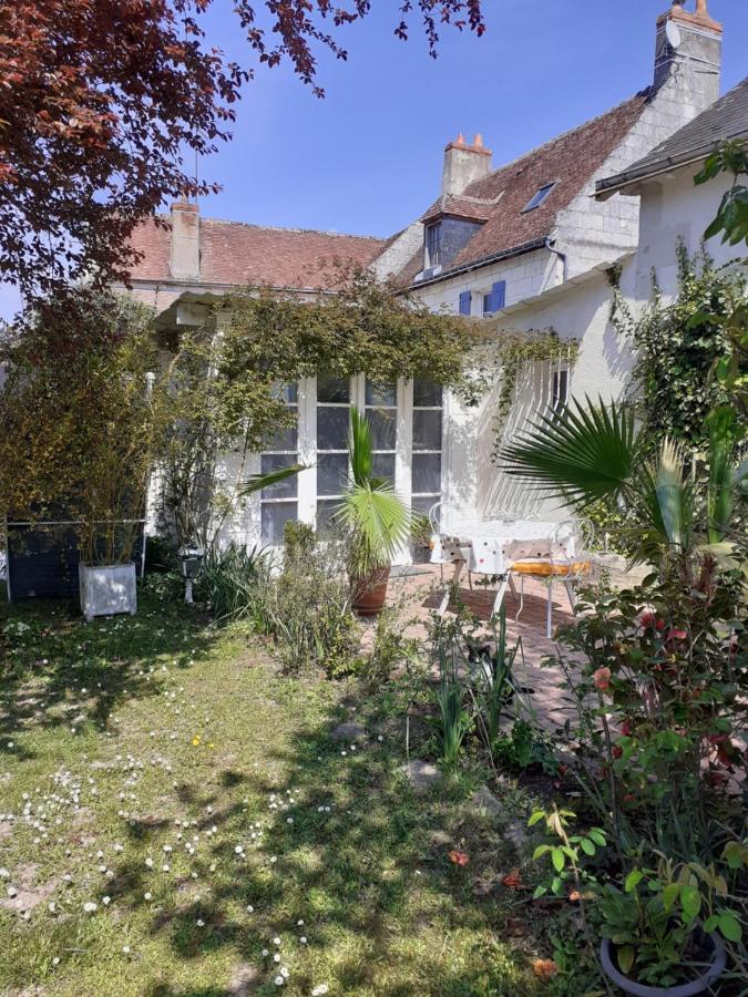Gite " Jardin Peyrona" Visite Zoo Beauval Et Chateaux De Loire Beaulieu-lès-Loches Exterior foto